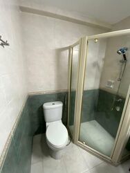 The Rivervale (D19), Condominium #588607271